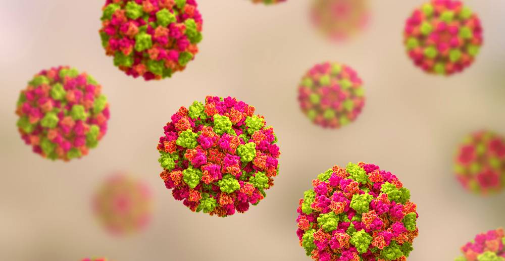 norovirus-trebušna-gripa.jpg